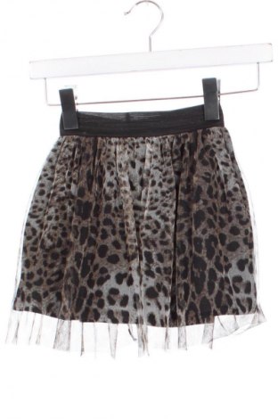 Детска пола Unbranded, Размер 3-4y/ 104-110 см, Цвят Многоцветен, Цена 19,00 лв.