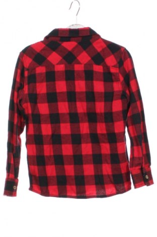 Dziecięca koszula Lupilu, Rozmiar 4-5y/ 110-116 cm, Kolor Kolorowy, Cena 26,21 zł