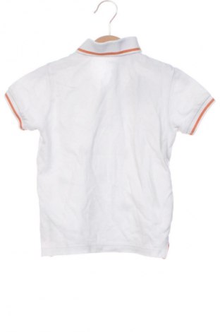 Παιδικό μπλουζάκι Next, Μέγεθος 2-3m/ 56-62 εκ., Χρώμα Πολύχρωμο, Τιμή 8,00 €