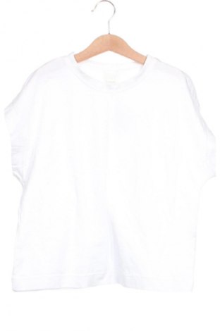 Kinder T-Shirt Zara, Größe 9-10y/ 140-146 cm, Farbe Weiß, Preis 5,83 €