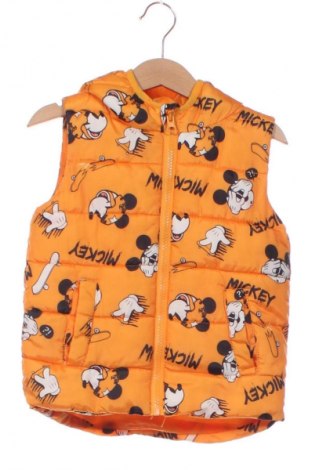 Παιδικό γιλέκο Sinsay, Μέγεθος 18-24m/ 86-98 εκ., Χρώμα Πολύχρωμο, Τιμή 10,74 €