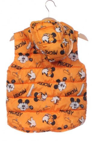 Παιδικό γιλέκο Sinsay, Μέγεθος 18-24m/ 86-98 εκ., Χρώμα Πολύχρωμο, Τιμή 10,74 €