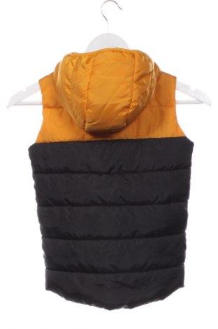 Gyerek mellény Sinsay, Méret 5-6y / 116-122 cm, Szín Sokszínű, Ár 4 200 Ft