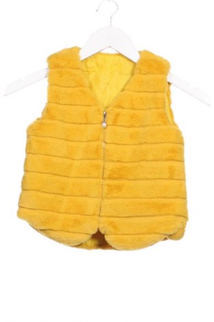 Παιδικό γιλέκο Unbranded, Μέγεθος 3-4y/ 104-110 εκ., Χρώμα Κίτρινο, Τιμή 10,69 €