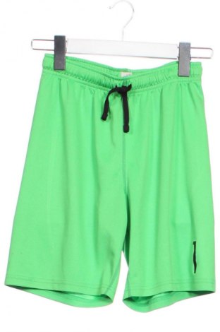 Dětské krátké kalhoty  H&M, Velikost 10-11y/ 146-152 cm, Barva Zelená, Cena  173,00 Kč