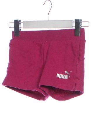 Παιδικό κοντό παντελόνι PUMA, Μέγεθος 6-7y/ 122-128 εκ., Χρώμα Ρόζ , Τιμή 14,00 €