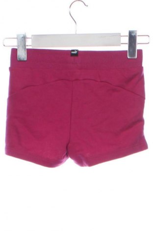 Παιδικό κοντό παντελόνι PUMA, Μέγεθος 6-7y/ 122-128 εκ., Χρώμα Ρόζ , Τιμή 14,00 €