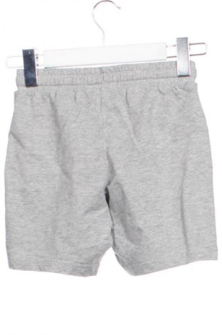 Παιδικό κοντό παντελόνι Pepperts!, Μέγεθος 7-8y/ 128-134 εκ., Χρώμα Γκρί, Τιμή 7,16 €