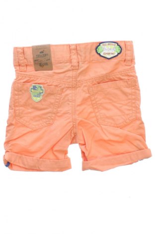 Kinder Shorts Sergent Major, Größe 18-24m/ 86-98 cm, Farbe Orange, Preis 20,46 €