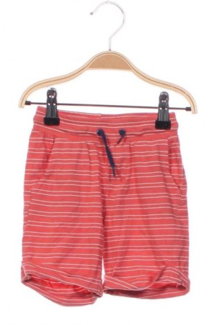 Детски къс панталон Sergent Major, Размер 18-24m/ 86-98 см, Цвят Многоцветен, Цена 17,60 лв.