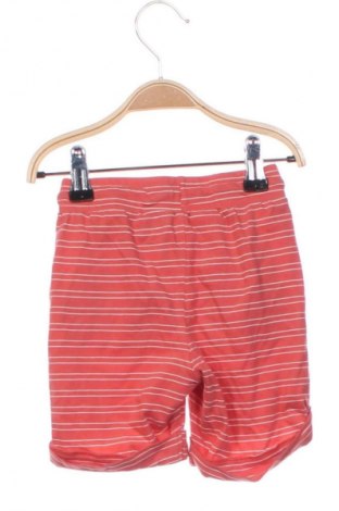 Детски къс панталон Sergent Major, Размер 18-24m/ 86-98 см, Цвят Многоцветен, Цена 17,60 лв.