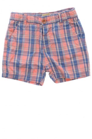 Kinder Shorts Zara, Größe 12-18m/ 80-86 cm, Farbe Mehrfarbig, Preis 6,14 €