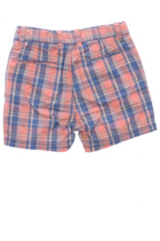 Kinder Shorts Zara, Größe 12-18m/ 80-86 cm, Farbe Mehrfarbig, Preis 6,14 €