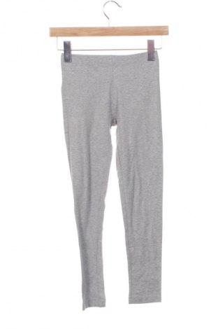 Παιδικό κολάν Pepperts!, Μέγεθος 8-9y/ 134-140 εκ., Χρώμα Γκρί, Τιμή 7,16 €