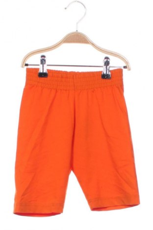 Colanți pentru copii Unbranded, Mărime 5-6y/ 116-122 cm, Culoare Portocaliu, Preț 36,84 Lei