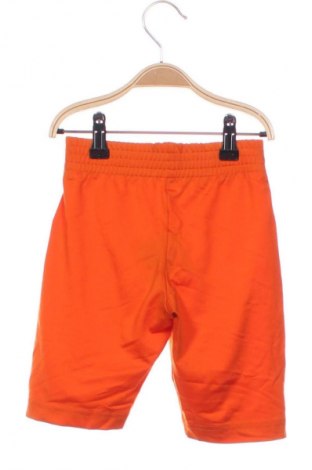 Colanți pentru copii Unbranded, Mărime 5-6y/ 116-122 cm, Culoare Portocaliu, Preț 36,84 Lei
