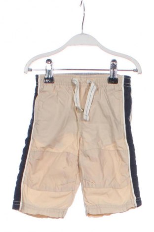 Kinderhose Gap Baby, Größe 3-6m/ 62-68 cm, Farbe Beige, Preis € 12,79