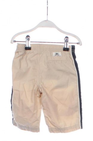 Kinderhose Gap Baby, Größe 3-6m/ 62-68 cm, Farbe Beige, Preis € 12,79