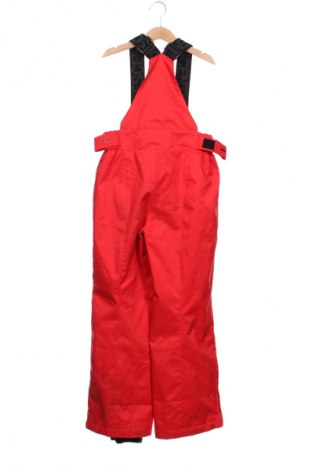 Детски панталон за зимни спортове Descente, Размер 8-9y/ 134-140 см, Цвят Червен, Цена 62,02 лв.
