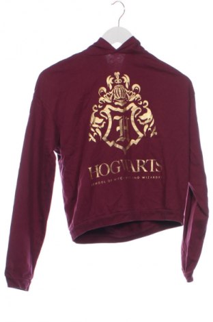 Gyerek sweatshirt Harry Potter, Méret 14-15y / 168-170 cm, Szín Piros, Ár 4 611 Ft