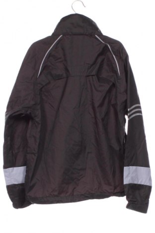 Dětská bunda  Campus, Velikost 6-7y/ 122-128 cm, Barva Vícebarevné, Cena  494,00 Kč