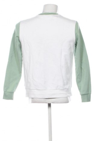 Herren Shirt Calvin Klein, Größe M, Farbe Grün, Preis € 28,00