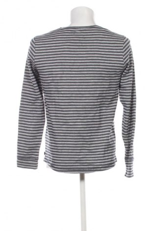 Herren Shirt Campus, Größe S, Farbe Mehrfarbig, Preis € 7,99