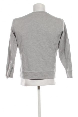 Herren Shirt Diesel, Größe M, Farbe Grau, Preis 52,99 €