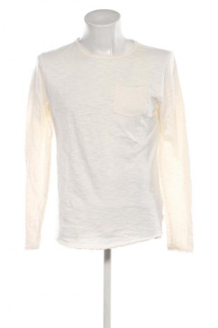 Pánské tričko  Hollister, Velikost M, Barva Krémová, Cena  309,00 Kč