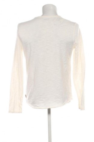 Pánské tričko  Hollister, Velikost M, Barva Krémová, Cena  309,00 Kč