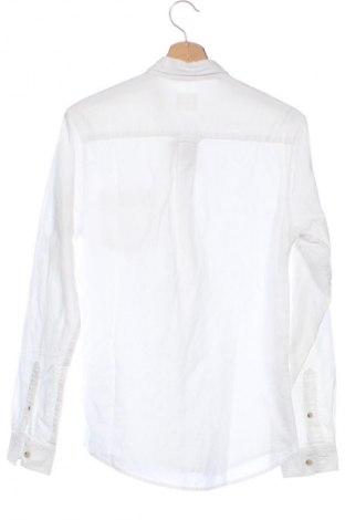 Herrenhemd CedarWood State, Größe S, Farbe Weiß, Preis € 14,83