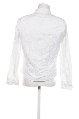 Herrenhemd Hollister, Größe M, Farbe Weiß, Preis 12,99 €