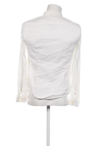 Męska koszula Tommy Jeans, Rozmiar L, Kolor ecru, Cena 142,53 zł