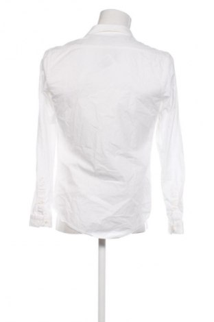 Męska koszula Zara, Rozmiar M, Kolor Biały, Cena 78,16 zł