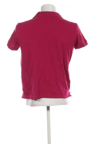 Męski T-shirt Alcott, Rozmiar L, Kolor Czerwony, Cena 51,99 zł