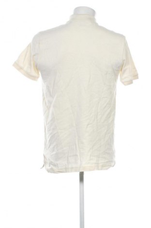 Herren T-Shirt Gant, Größe M, Farbe Ecru, Preis € 83,99
