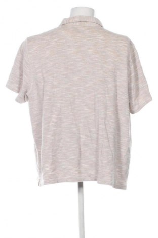 Herren T-Shirt Mantaray, Größe 3XL, Farbe Mehrfarbig, Preis € 10,24