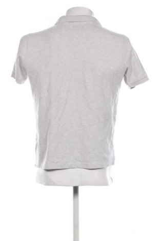 Tricou de bărbați Primark, Mărime S, Culoare Gri, Preț 50,00 Lei