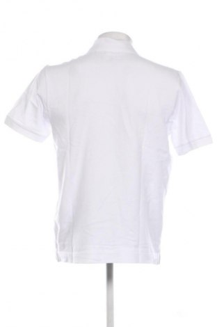 Herren T-Shirt Seidensticker, Größe L, Farbe Weiß, Preis € 30,99
