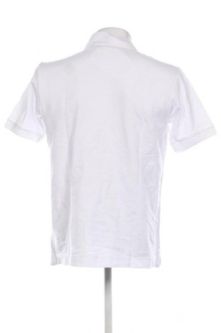 Herren Shirt Seidensticker, Größe L, Farbe Weiß, Preis 30,99 €