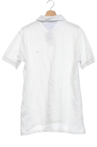 Férfi póló Tommy Hilfiger, Méret L, Szín Fehér, Ár 12 419 Ft