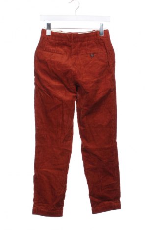 Ανδρικό κοτλέ παντελόνι Uniqlo, Μέγεθος XS, Χρώμα Καφέ, Τιμή 11,99 €