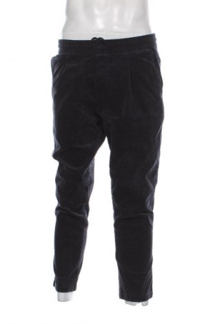 Herren Cordhose Zara, Größe M, Farbe Blau, Preis 10,99 €