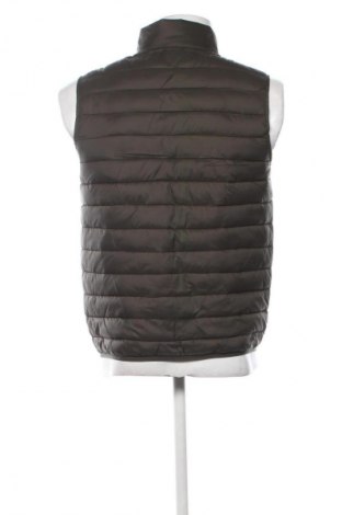 Herrenweste Cavalli Class, Größe M, Farbe Grün, Preis € 162,66