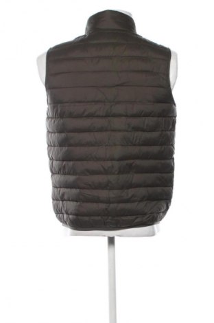 Herrenweste Cavalli Class, Größe L, Farbe Grün, Preis € 162,66