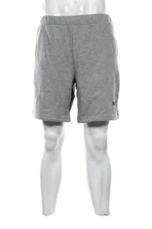 Herren Shorts PUMA, Größe XL, Farbe Grau, Preis 61,99 €