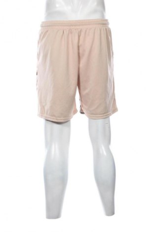 Pánske kraťasy  Unbranded, Veľkosť XL, Farba Viacfarebná, Cena  15,00 €