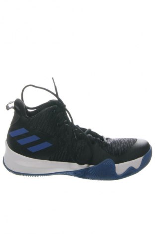 Herrenschuhe Adidas, Größe 45, Farbe Mehrfarbig, Preis € 122,94