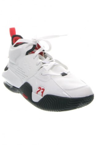 Pánské boty Air Jordan Nike, Velikost 42, Barva Vícebarevné, Cena  3 549,00 Kč