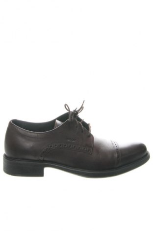 Herrenschuhe Geox, Größe 42, Farbe Braun, Preis 90,56 €